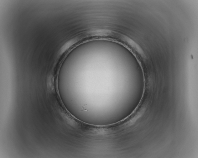 X0000112020970200908101358