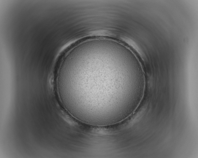 X0000112020971200908101358