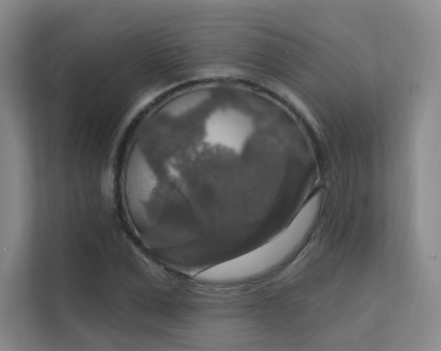 X0000112020975200908101358