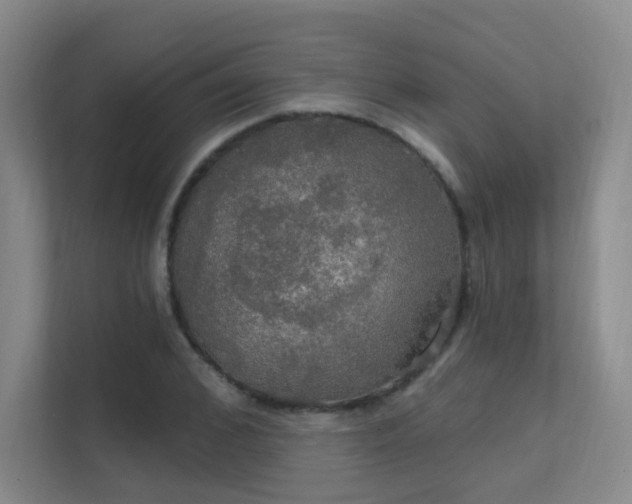 X0000112020976200908101358