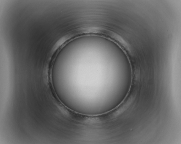 X0000112020978200908101358