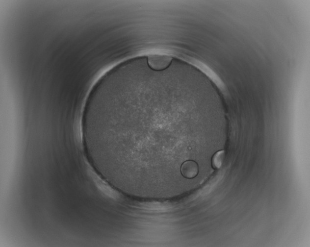 X0000112020980200908101358