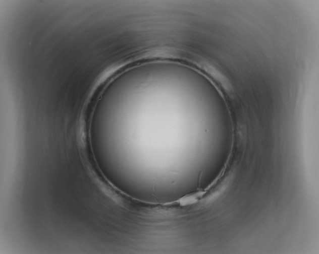 X0000112020981200908101358