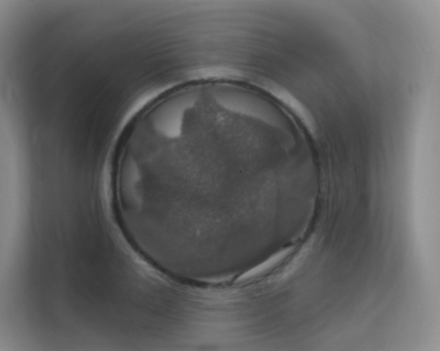 X0000112020983200908101358