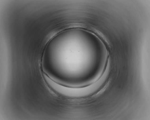 X0000112020985200908101358