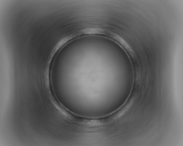 X0000112020986200908101358