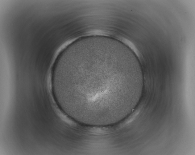 X0000112020987200908101358