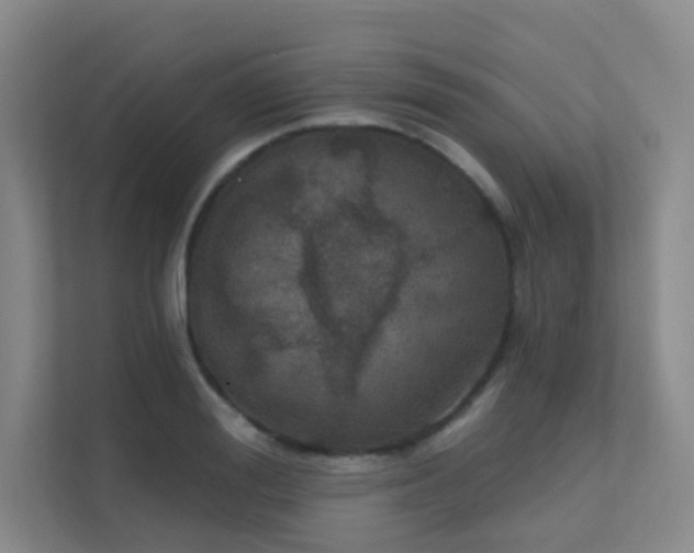 X0000112020988200908101358