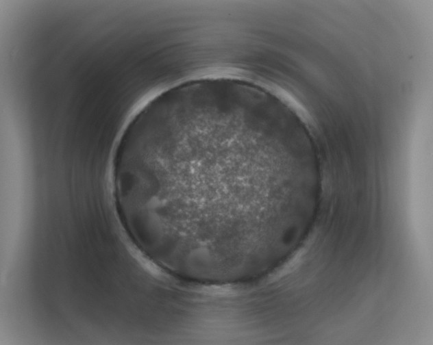 X0000112020990200908101358