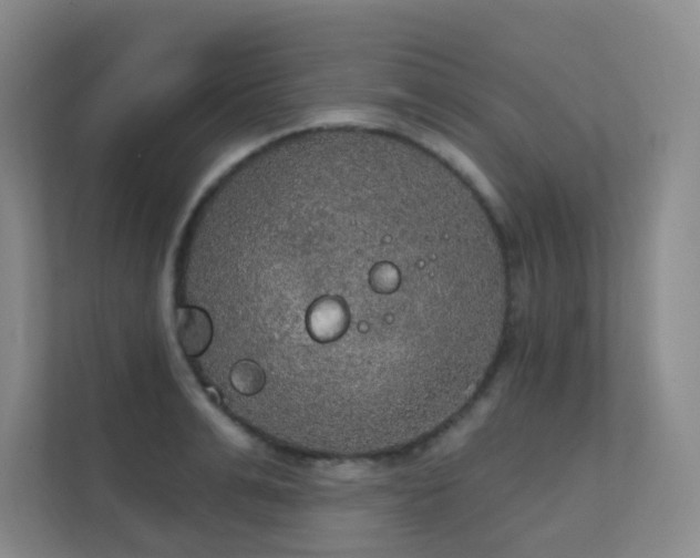 X0000112020991200908101358