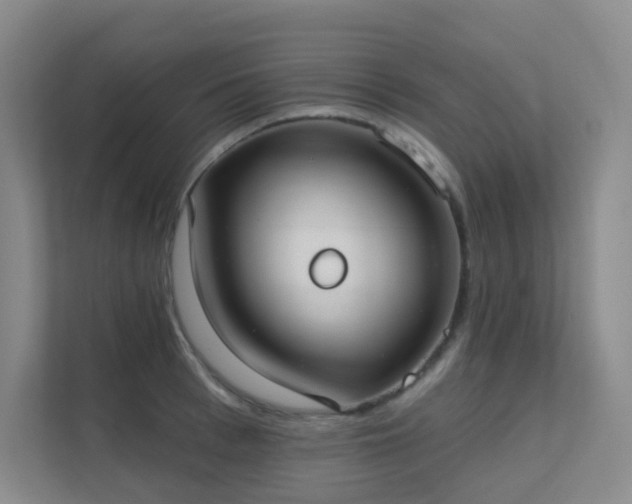 X0000112020993200908101358