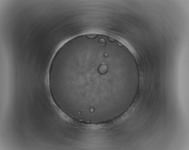 X0000112020996200908101358