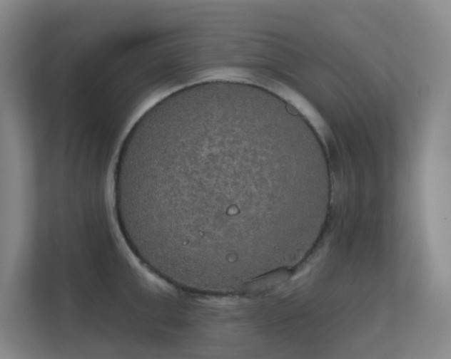 X0000112020999200908101358