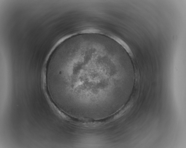 X0000112021000200908101358