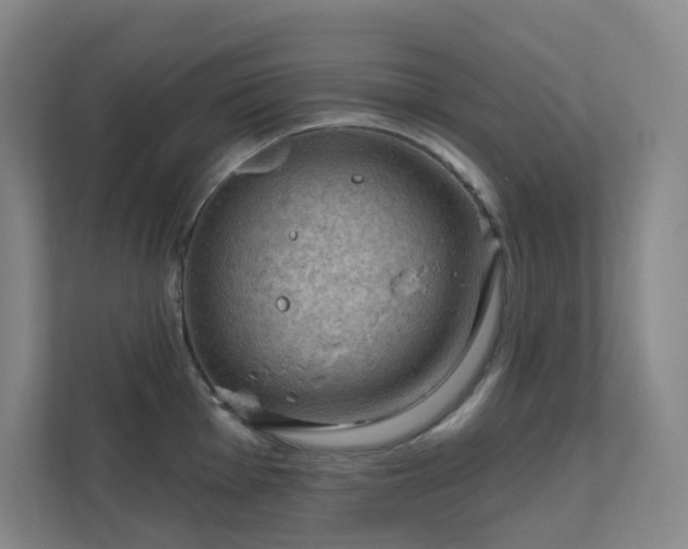 X0000112021001200908101358