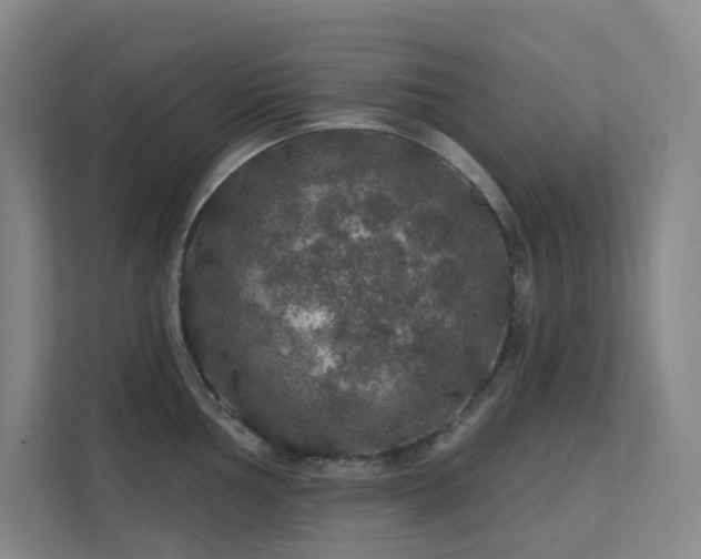 X0000112021002200908101358