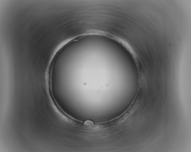 X0000112021003200908101358