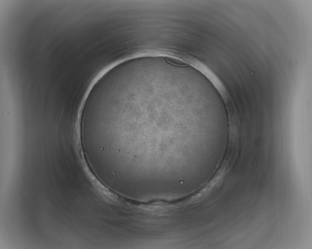 X0000112021004200908101358