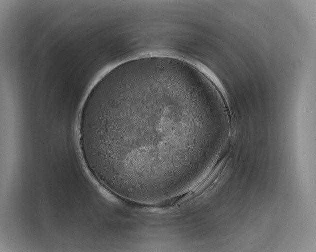 X0000112021005200908101358