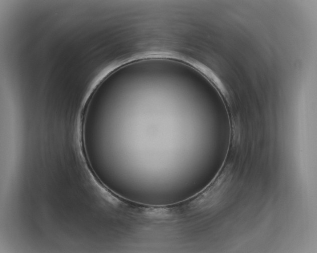 X0000112021006200908101358