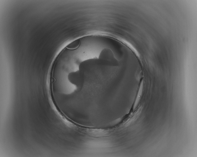 X0000112021007200908101358