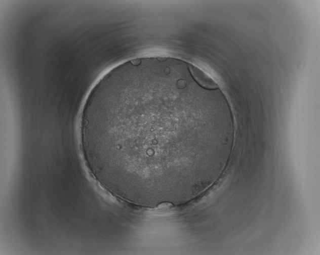 X0000112021008200908101358