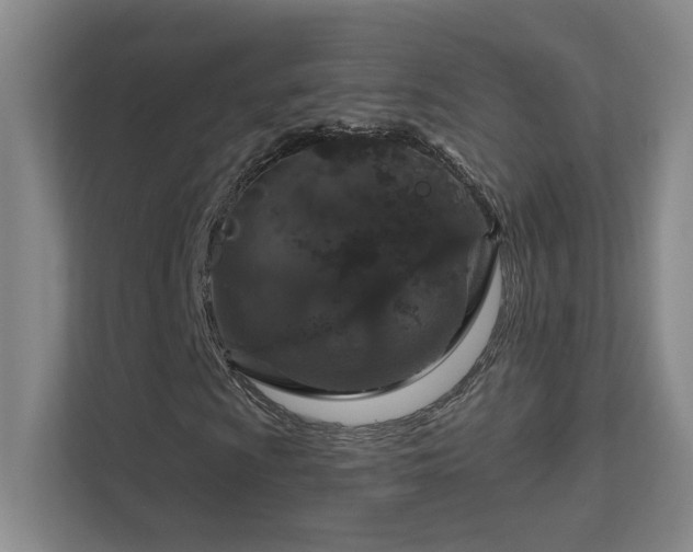 X0000112021009200908101357