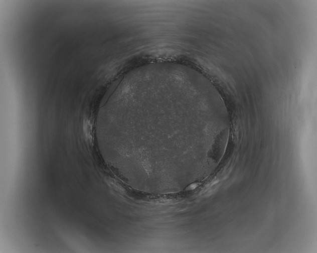 X0000112021010200908101357