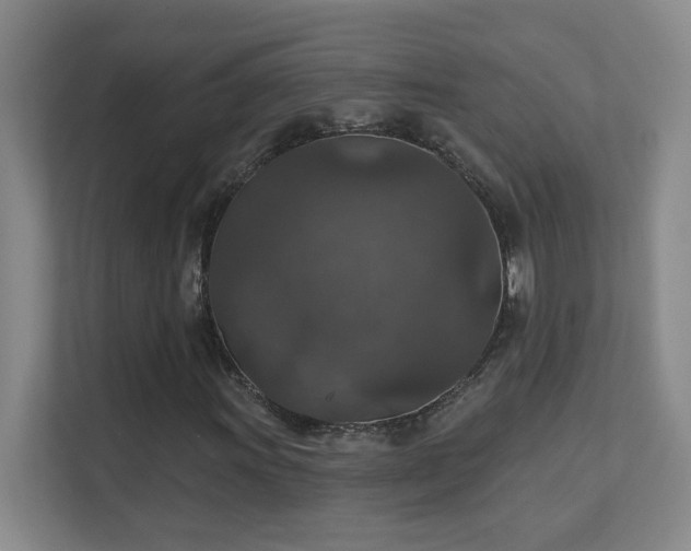 X0000112021011200908101357