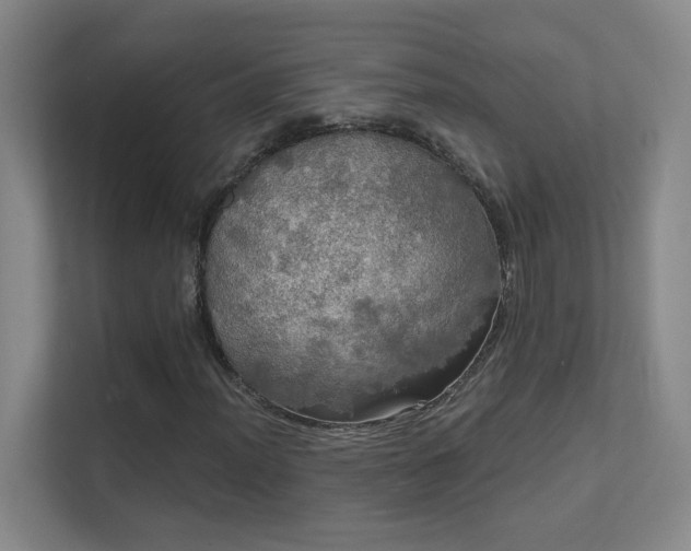 X0000112021012200908101357