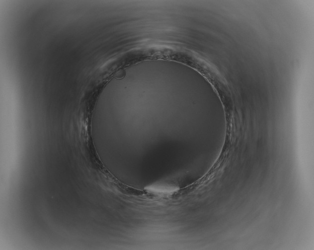 X0000112021013200908101357