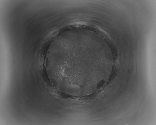 X0000112021014200908101357