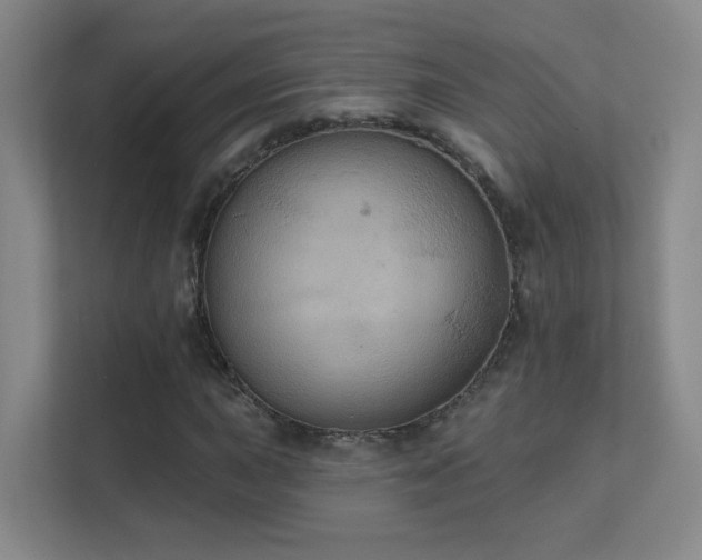 X0000112021015200908101357