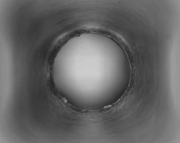 X0000112021016200908101357