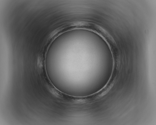 X0000112021017200908101357