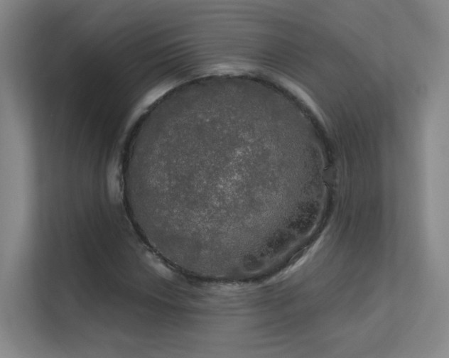 X0000112021018200908101357