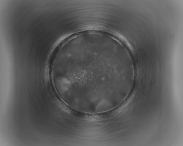 X0000112021019200908101357