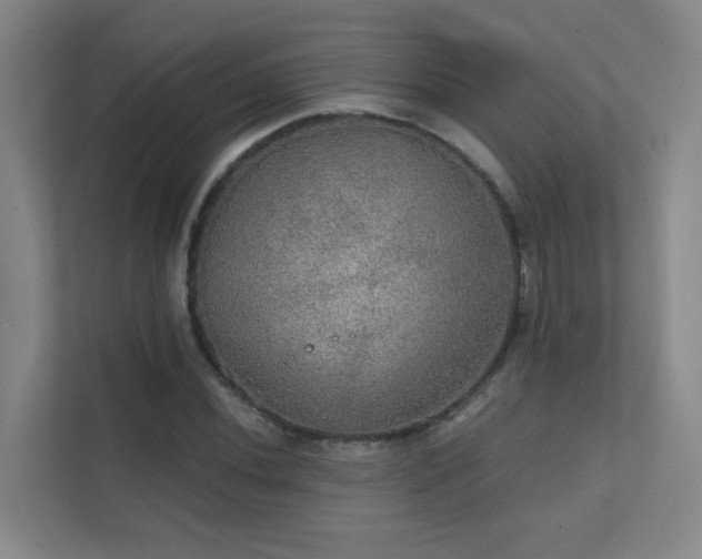 X0000112021020200908101358