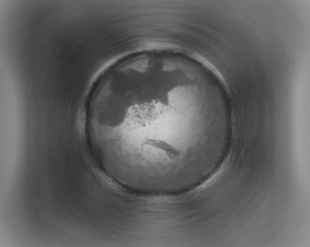 X0000112021021200908101358