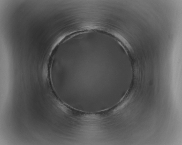 X0000112021023200908101358