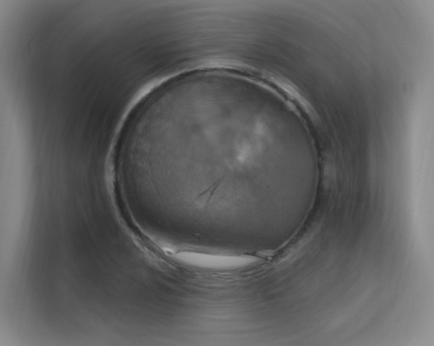 X0000112021024200908101358