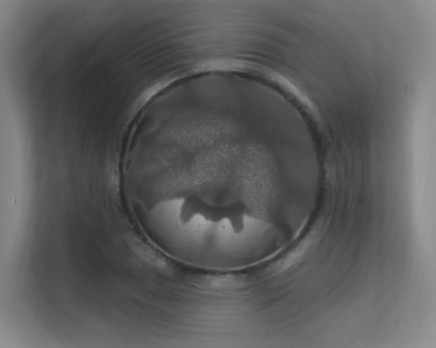 X0000112021025200908101358