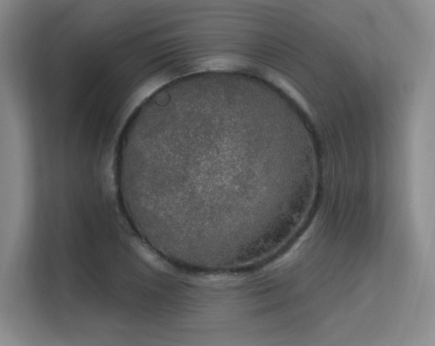 X0000112021026200908101358