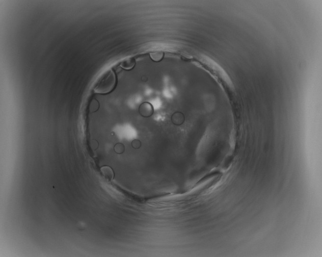 X0000112021027200908101358