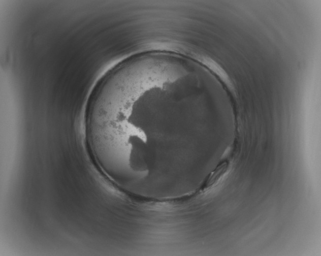 X0000112021028200908101358