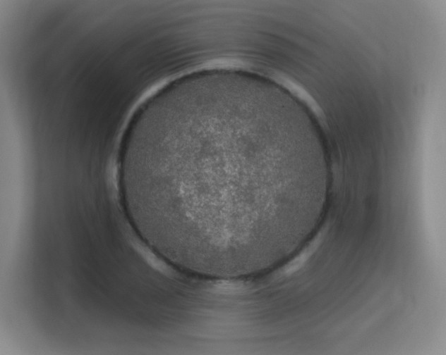 X0000112021029200908101358