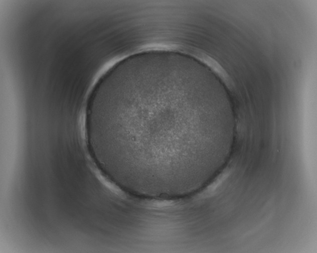 X0000112021030200908101358