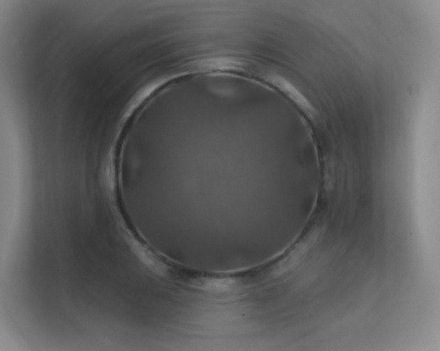 X0000112021031200908101358