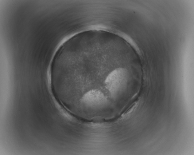 X0000112021032200908101358