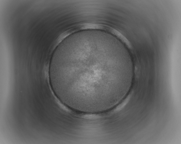 X0000112021033200908101358